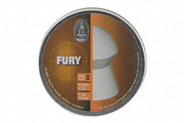 CHUMBINHO BSA FURY 5.5MM 250 UNID