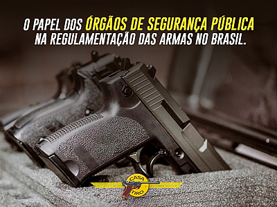 O papel dos Ã³rgÃ£os de seguranÃ§a pÃºblica na regulamentaÃ§Ã£o das armas no Brasil.